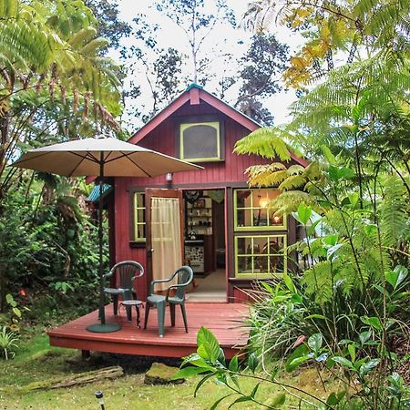 Ferny Hollow: Romantic Rainforest Cottage Volcano Buitenkant foto