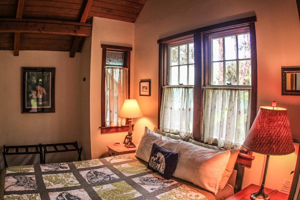 Ferny Hollow: Romantic Rainforest Cottage Volcano Buitenkant foto