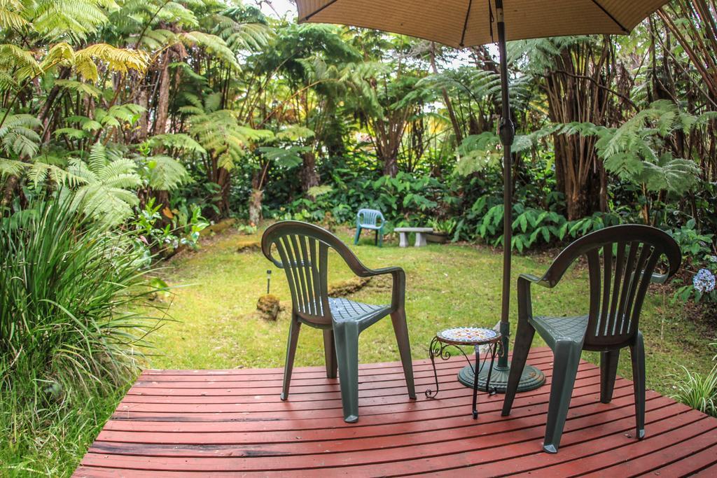 Ferny Hollow: Romantic Rainforest Cottage Volcano Buitenkant foto