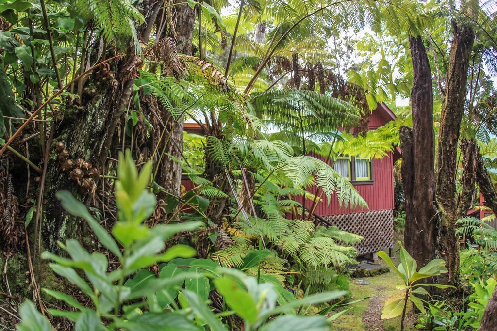 Ferny Hollow: Romantic Rainforest Cottage Volcano Buitenkant foto