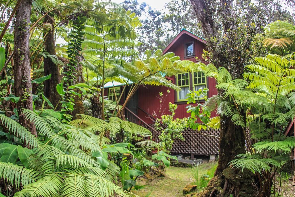 Ferny Hollow: Romantic Rainforest Cottage Volcano Buitenkant foto