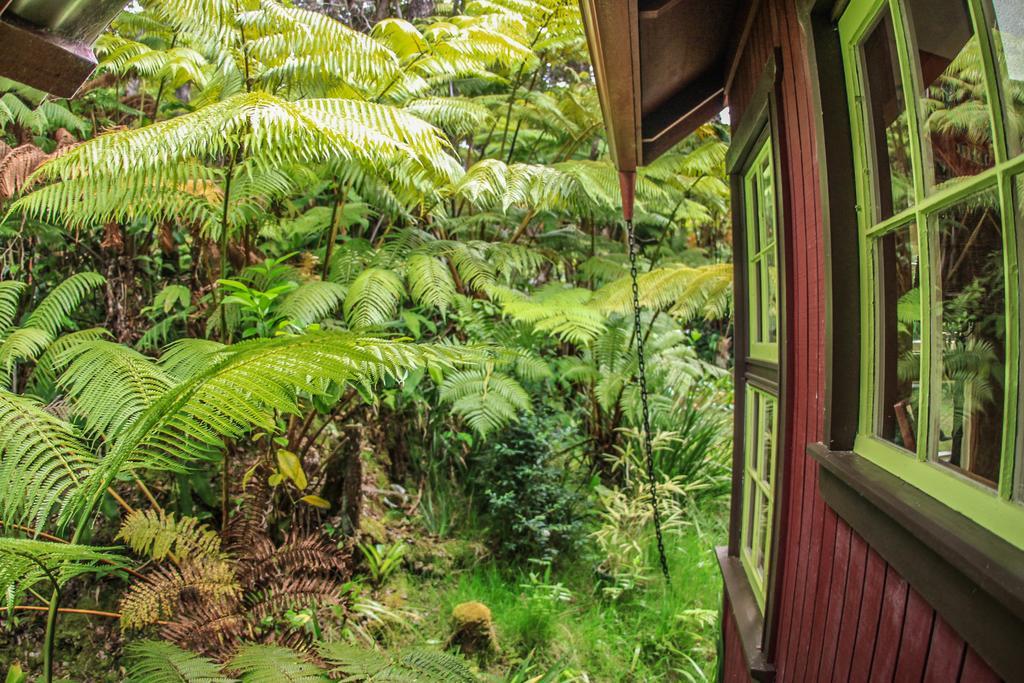Ferny Hollow: Romantic Rainforest Cottage Volcano Buitenkant foto